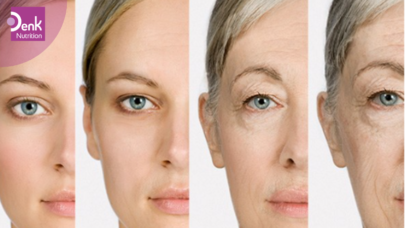 Ngăn ngừa lão hóa