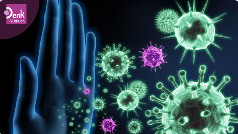 Tăng cường hệ miễn dịch