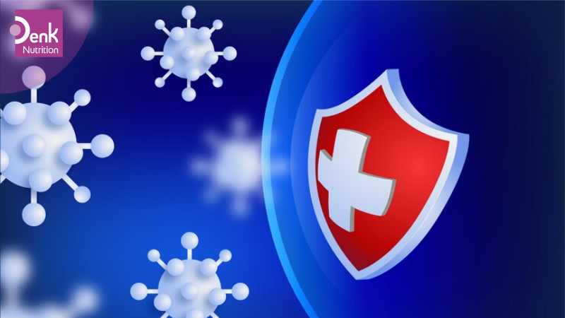 Kẽm giúp duy trì hệ thống miễn dịch khỏe mạnh