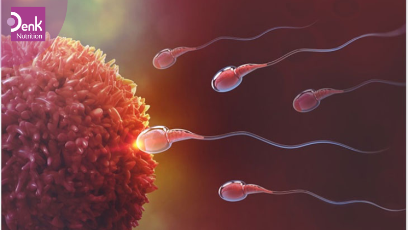 Cải thiện sức khỏe sinh sản