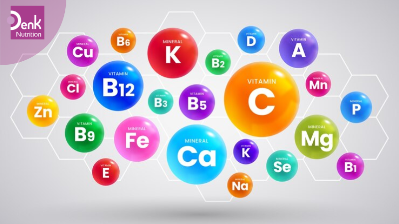 giới thiệu vitamin B12