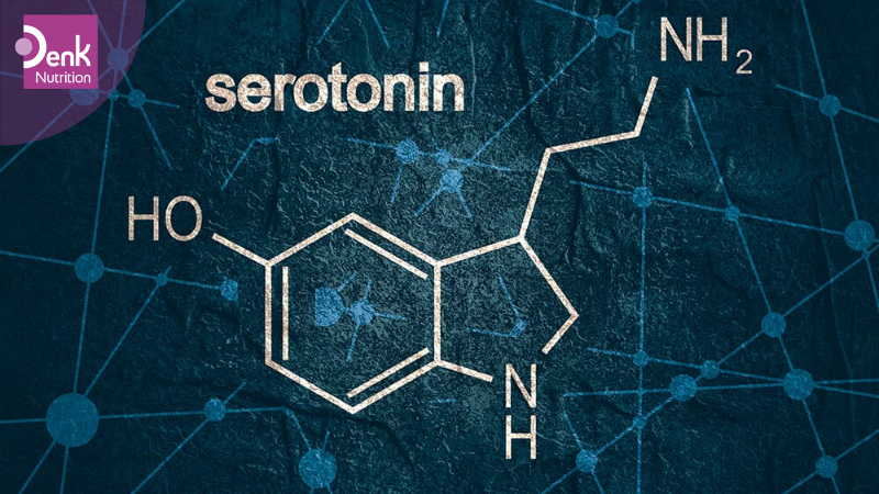 serotonin là gì