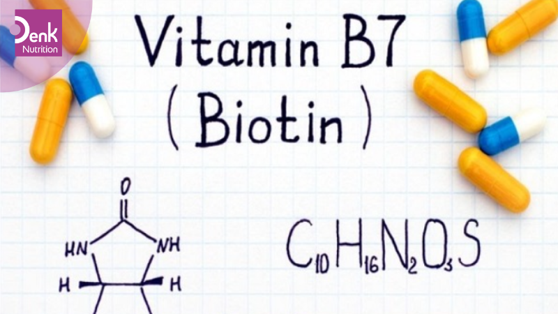 Nhu cầu Biotin hằng ngày của cơ thể