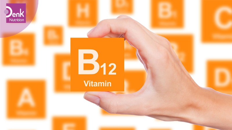 Phòng ngừa thiếu vitamin B12