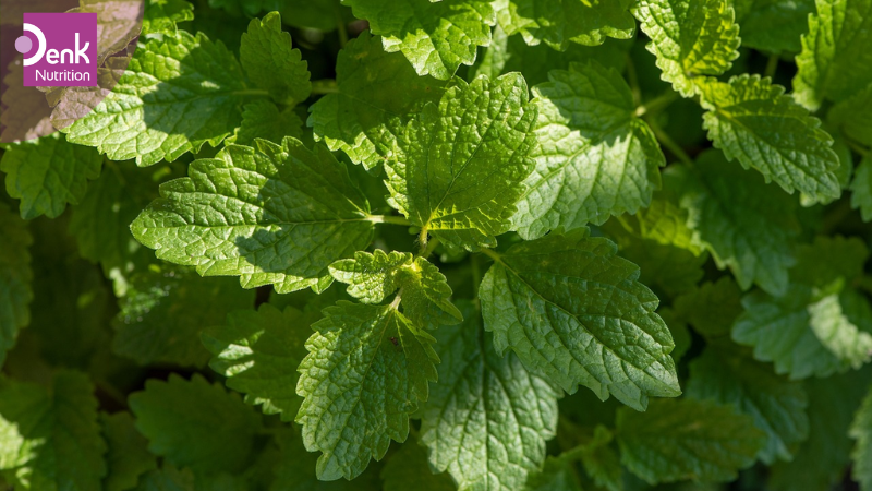 Những lưu ý khi sử dụng