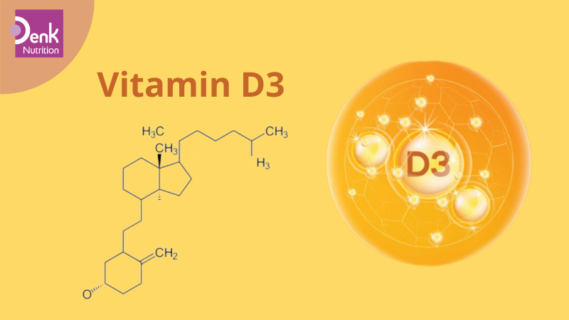 Vitamin D3 là gì?