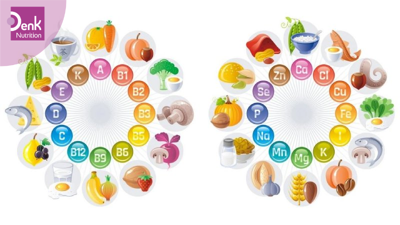 Zinc và vitamin B12