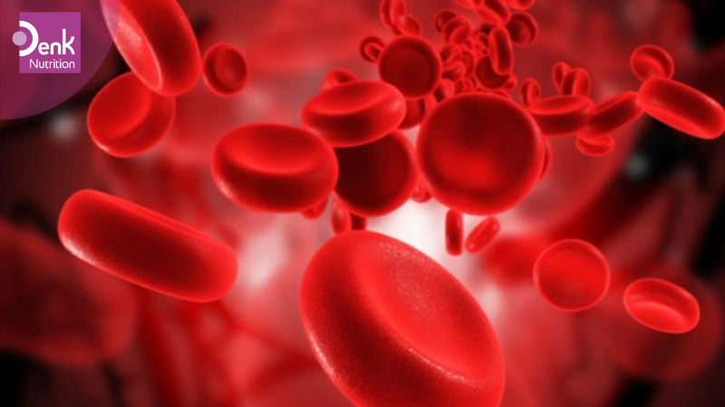 Thừa hoặc thiếu máu