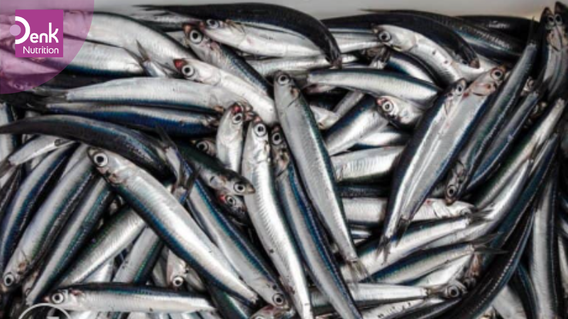 vitamin B3 có trong thực phẩm nào? - Cá cơm