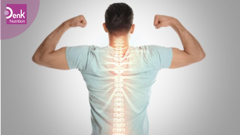 Sửa chửa tế bào