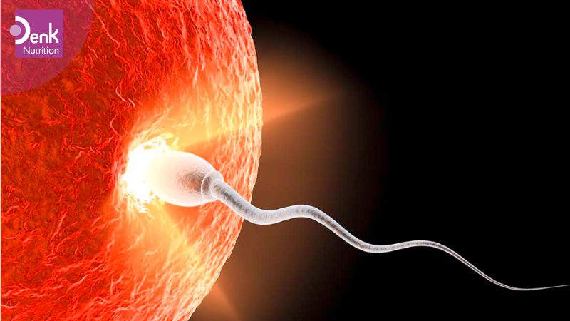 Tăng cường chất lượng tinh trùng