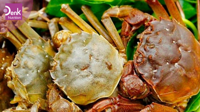 Cua là nguồn thực phẩm cung cấp kẽm rất tốt