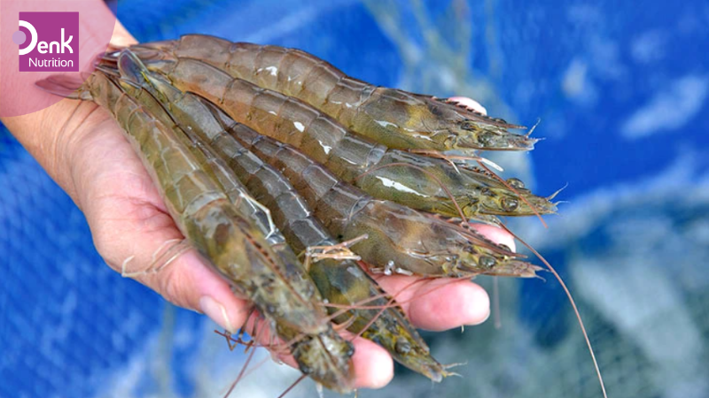 Tôm rất giàu kẽm