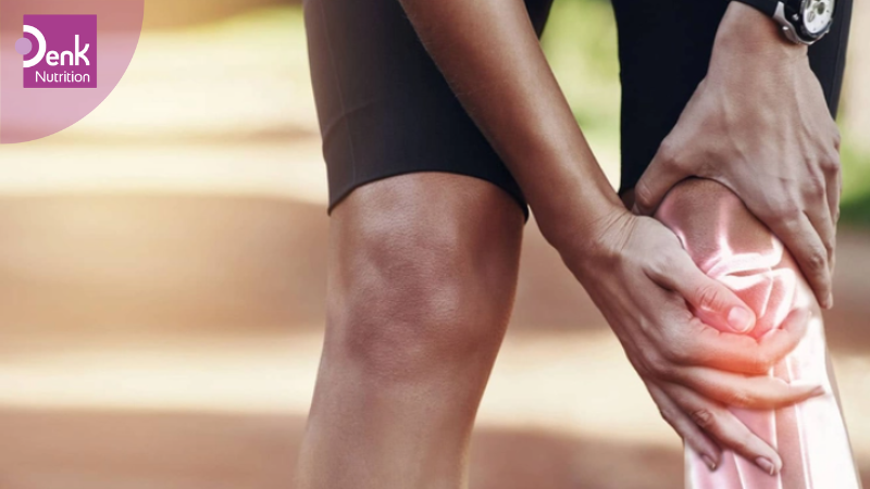 Hệ cơ xương khớp