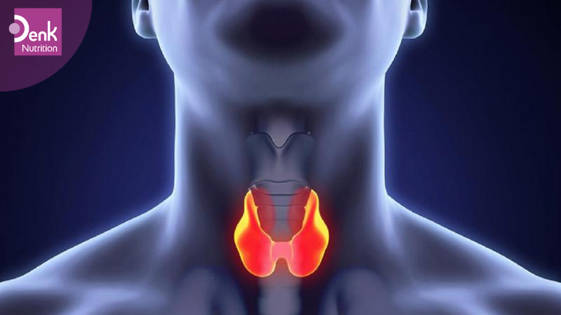 Tuyến giáp là gì?