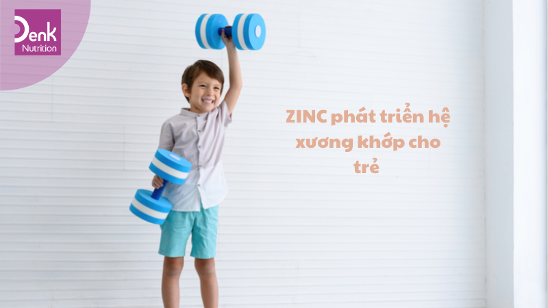Hỗ trợ hệ xương khớp