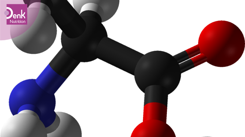 Amino acid cấu tạo thành protein