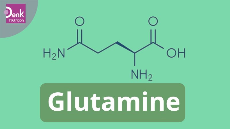 Glutamine là gì?