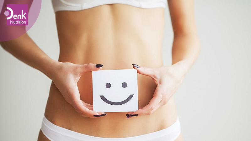 Hỗ trợ hệ tiêu hóa