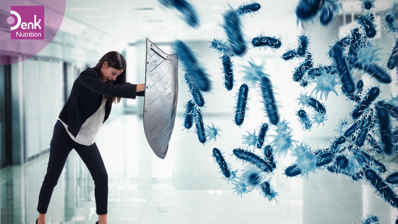 tía tô đất hỗ trợ điều trị nhiễm trùng