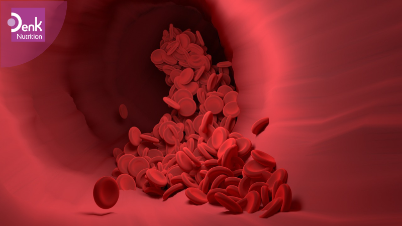 serotonin có vai trò trong đông máu