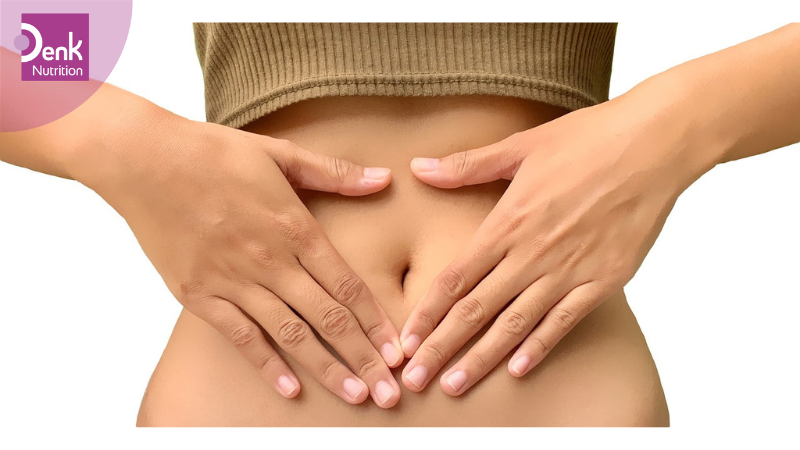 L-tryptophan giúp cải thiện sức khoẻ đường ruột