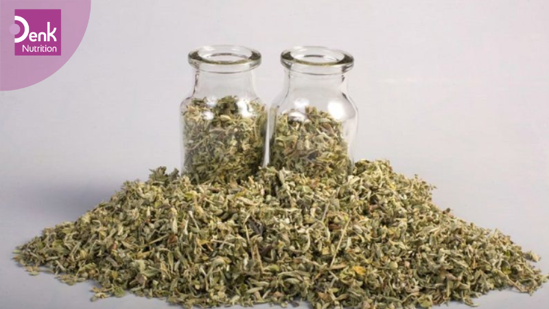 Cây tráng dương (Damiana) là gì? Lợi ích đối với sức khỏe