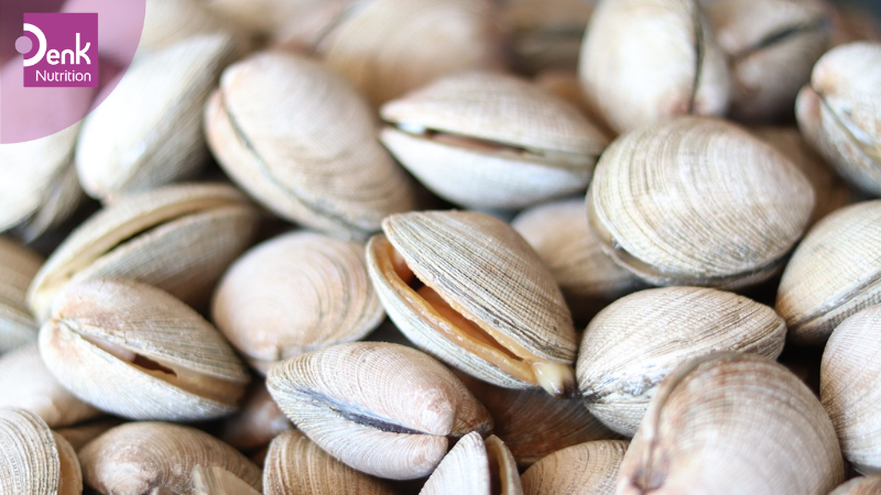 Nghêu là nguồn cung cấp vitamin B12 dồi dào