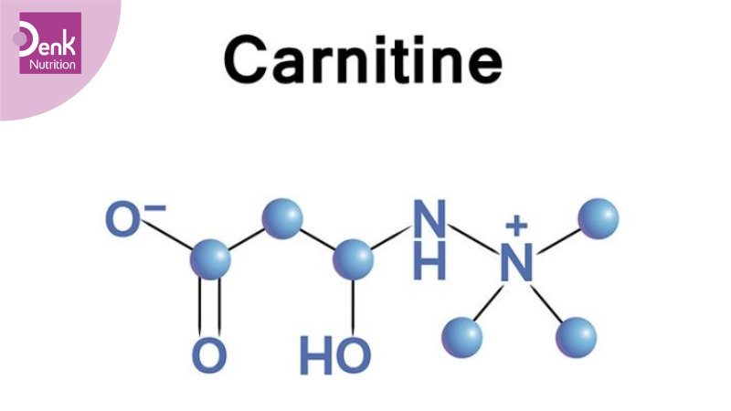 Thiếu hụt Carnitine là gì?