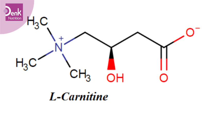 Thiếu hụt Carnitine là gì?
