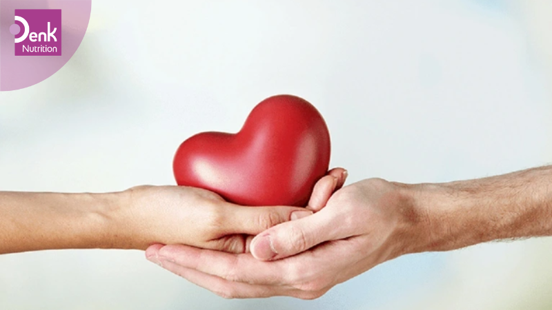 L-Carnitine có tác dụng gì?