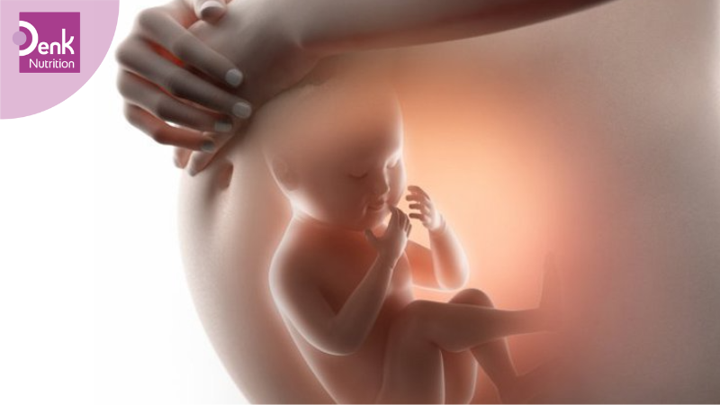 Ngừa bệnh dị tật thần kinh ở thai nhi