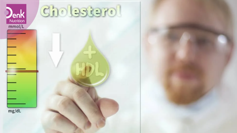 HDL cholesterol giảm