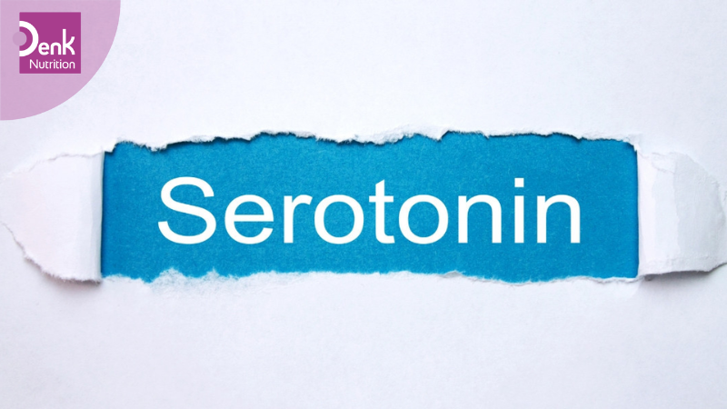 Giới thiệu về serotonin