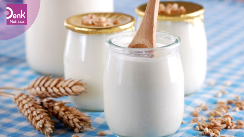 Sữa và sữa chua