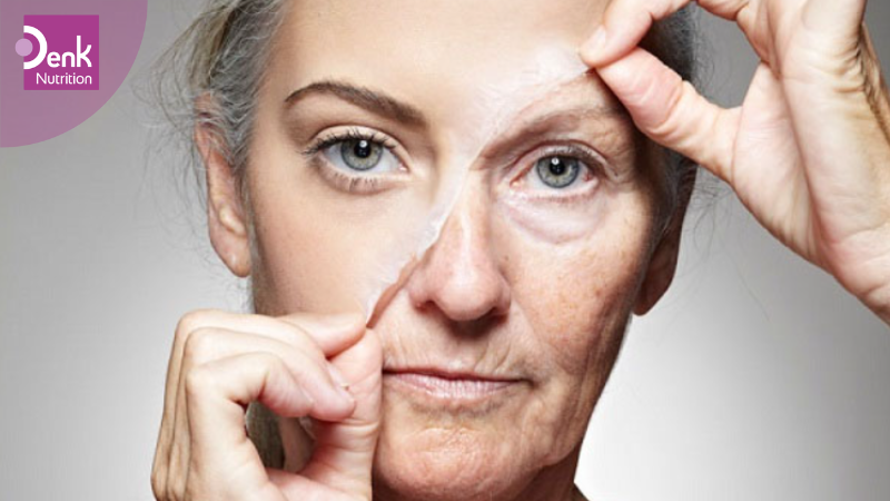 Giảm stress oxy hóa và ngăn ngừa gốc tự do