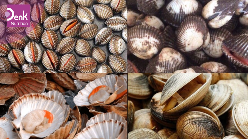 Các động vật có vỏ