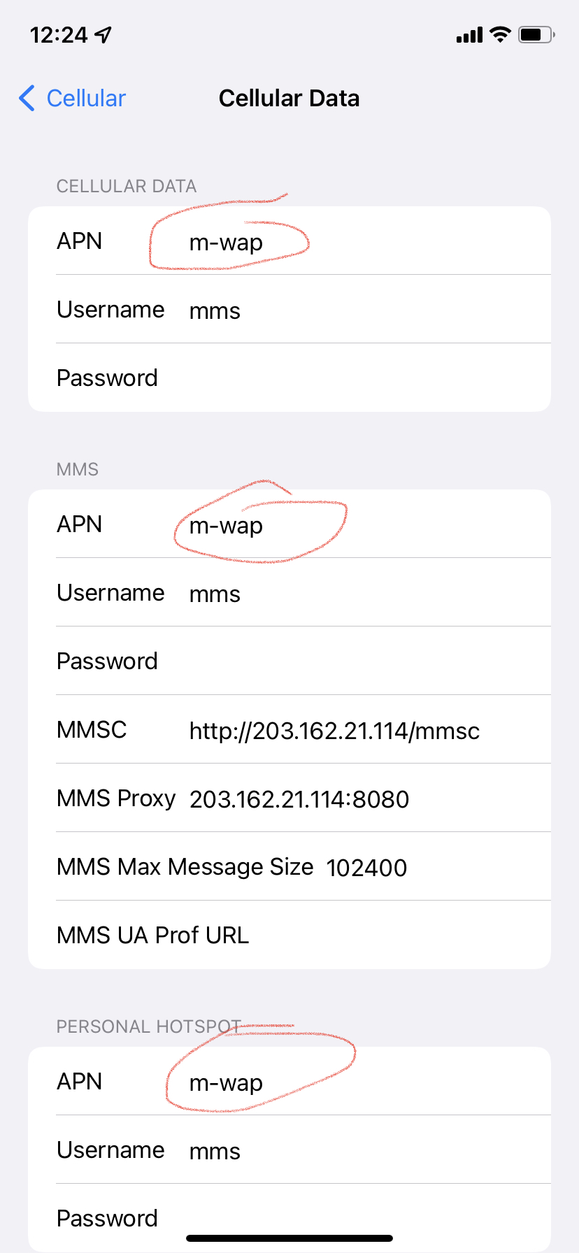 Màn hình iOS chỉnh sửa trường APN