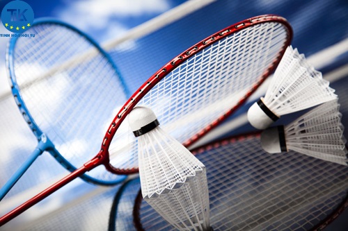 the-latest-procedures-for-issuing-certificates-of-eligibility-for-doing-the-sports-business-for-badminton