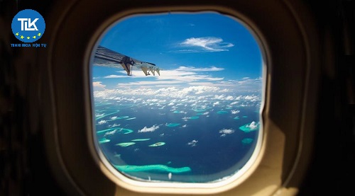 can-fdi-companies-provide-international-travel-services