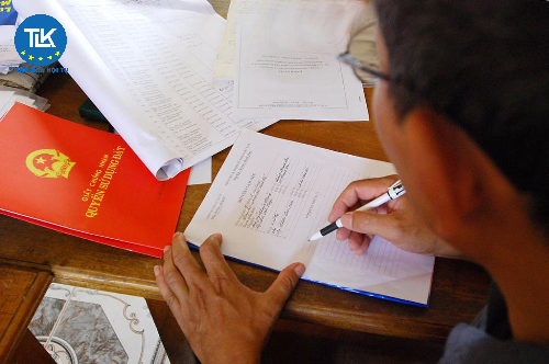 from-august-1-2024-which-types-of-land-without-documents-will-be-granted-red-book-certificates-according-to-the-land-law-2024