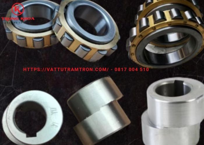 Tay áo- Cụm vòng bi lệnh tâm hộp số Cyclo