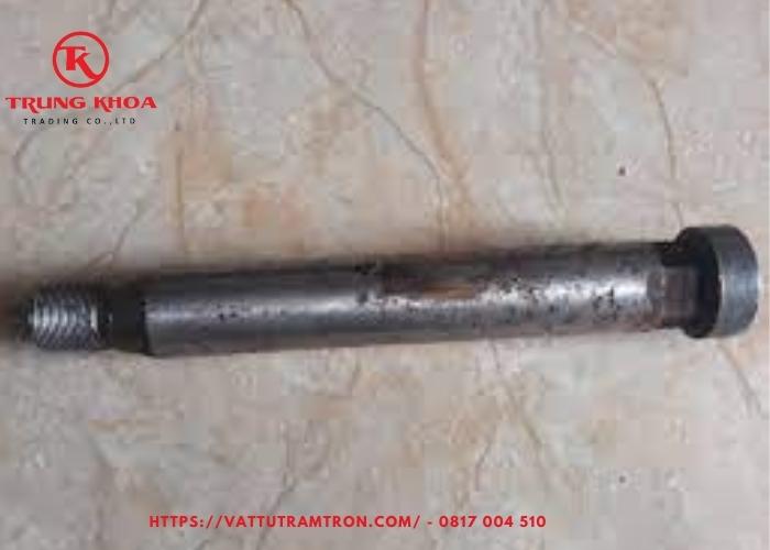 Ty bơm BW150. BW250 2