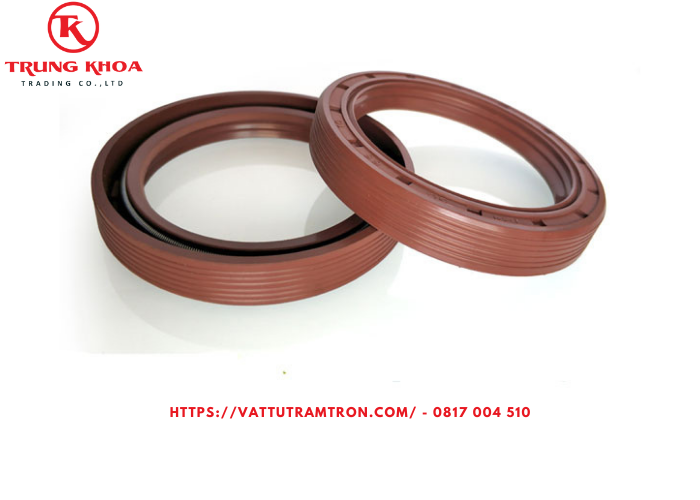 Lò xo đôi DC80*100*12