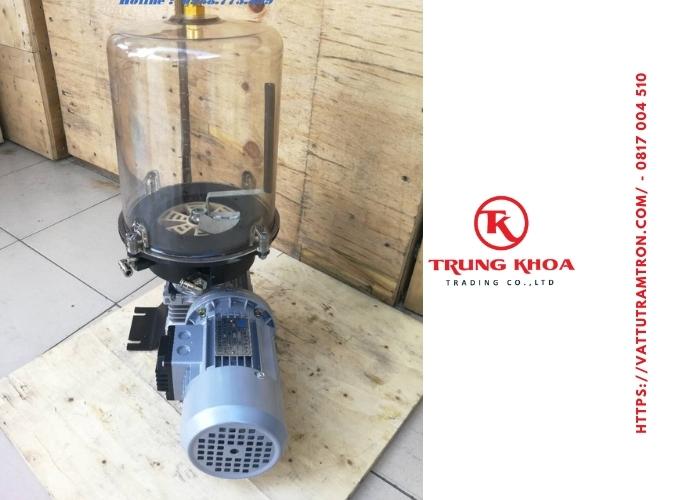 Bộ lọc bơm mỡ 4