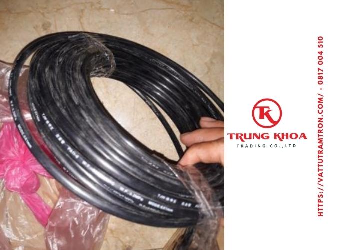 Dây bơm mỡ 6