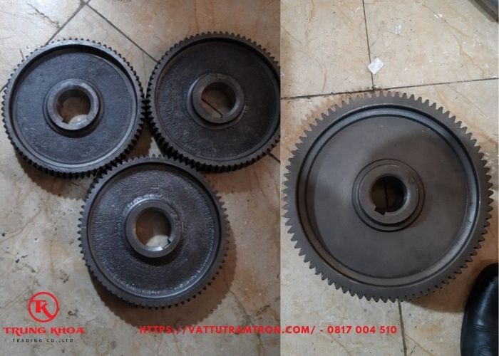 Bánh răng hộp giảm tốc vít tải xi măng