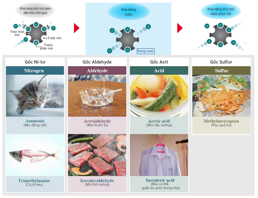 Máy lọc không khí và tạo ẩm diện tích phòng 79m2 EP-L110E (BR) tại thành phố Hồ Chí Minh