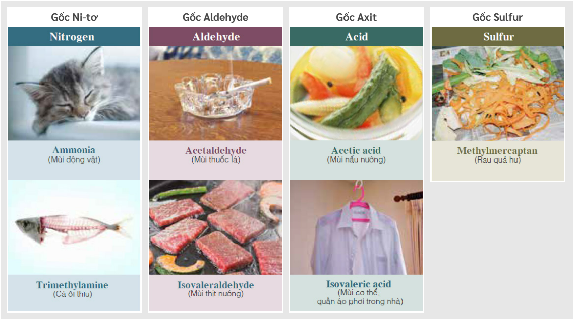 Máy lọc không khí diện tích phòng 46m2 EP-A6000 tại thành phố Hồ Chí Minh