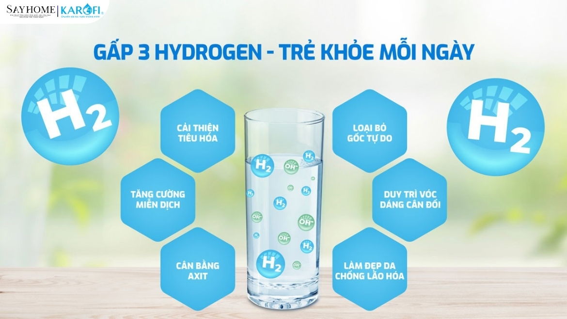 Máy lọc nước nóng lạnh Hydro-ion kiềm 13 lõi lọc Karofi KAE-S88 PROMAX tại thành phố Hò Chí Minh